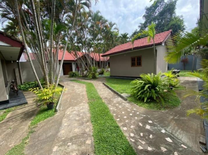 Blue Bell Hotel Negombo Eksteriør billede