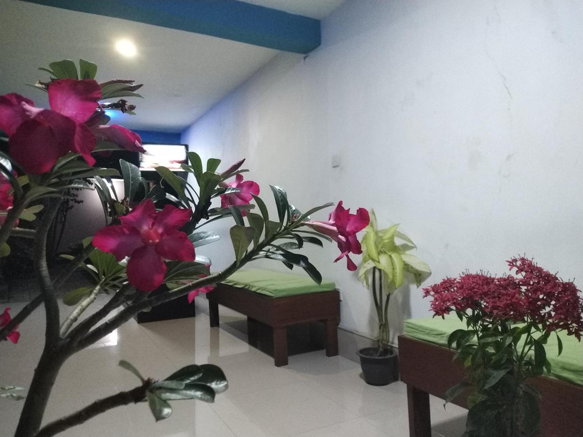 Blue Bell Hotel Negombo Eksteriør billede