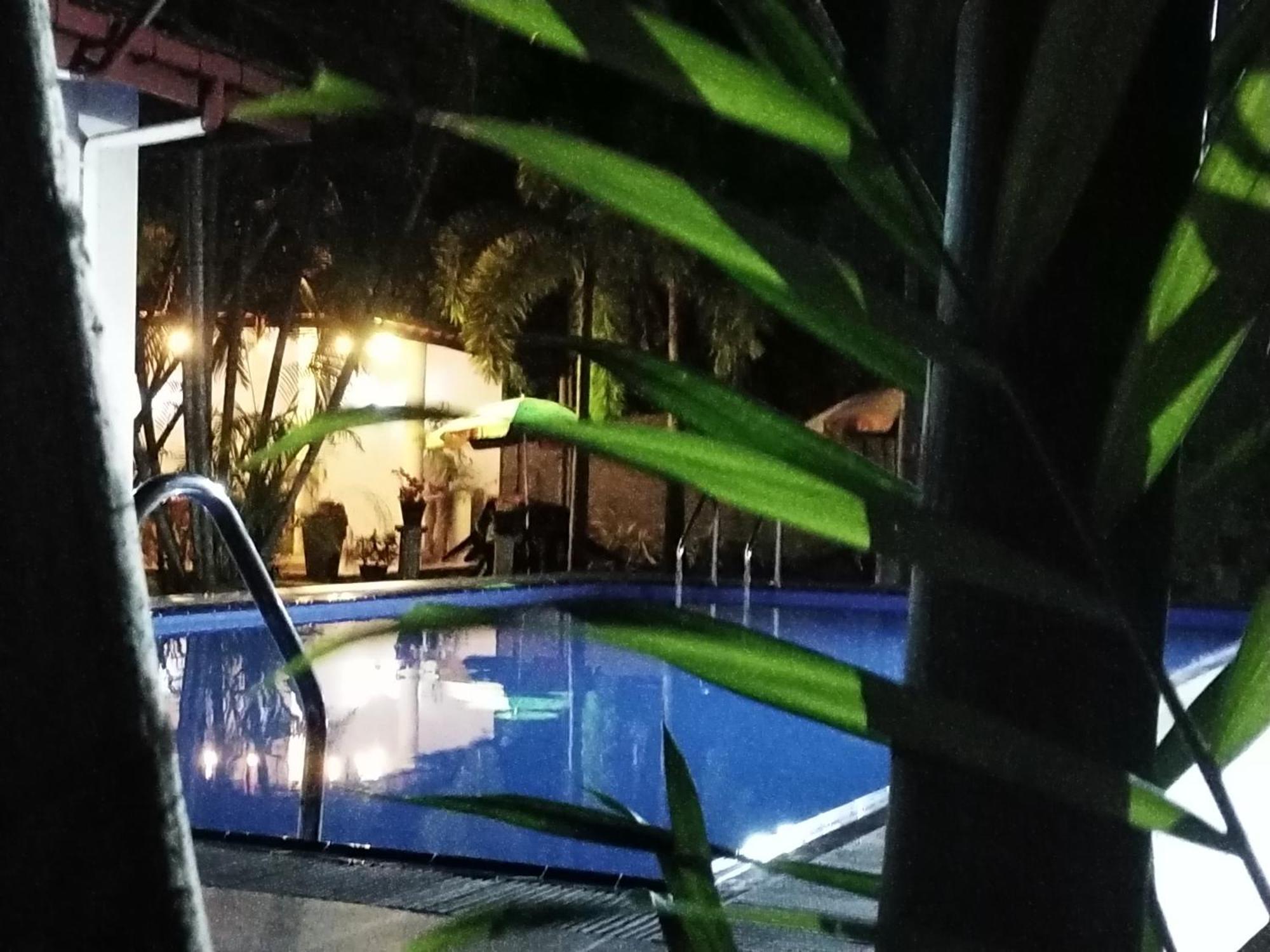 Blue Bell Hotel Negombo Eksteriør billede