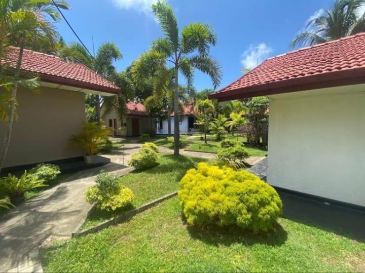 Blue Bell Hotel Negombo Eksteriør billede